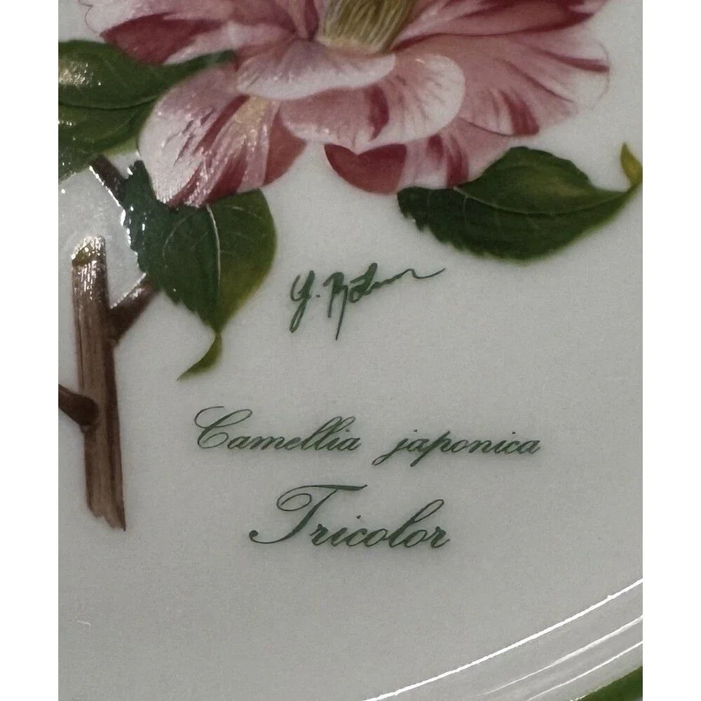 2 JWK Bavaria Western Germany Camellia Japonica Tricolor Plates Botanical Floral